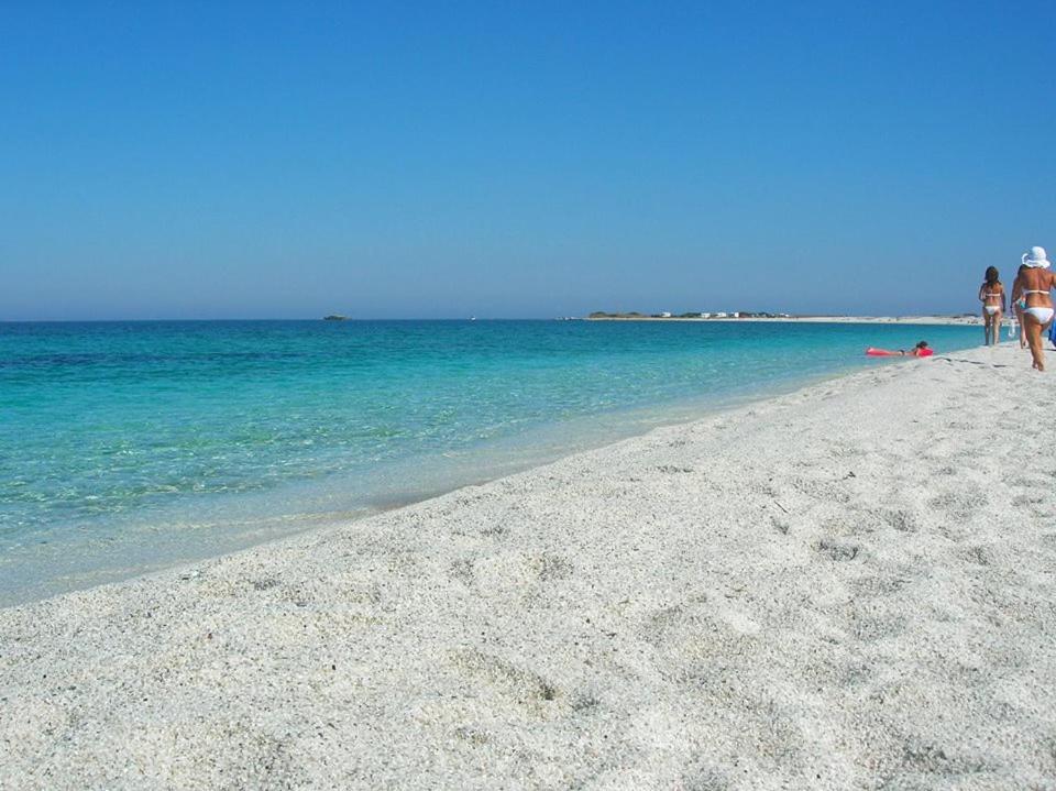 Bed and Breakfast Sardinia Eco Vegan House Zeddiani Esterno foto