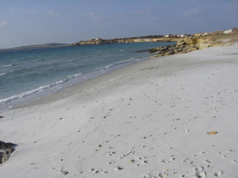 Bed and Breakfast Sardinia Eco Vegan House Zeddiani Esterno foto