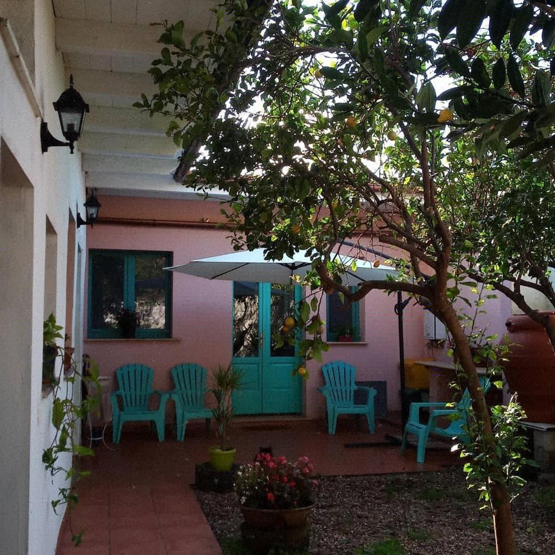 Bed and Breakfast Sardinia Eco Vegan House Zeddiani Esterno foto