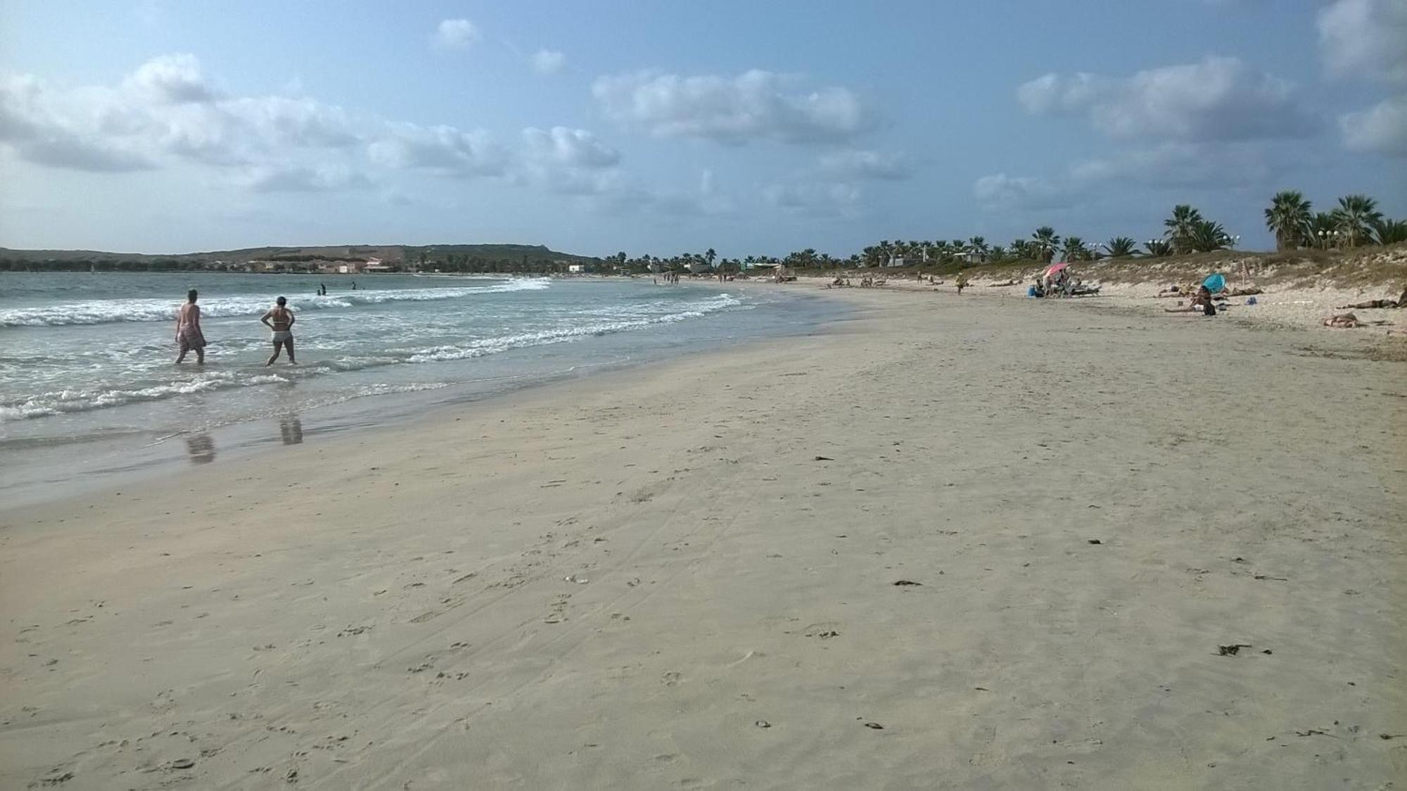 Bed and Breakfast Sardinia Eco Vegan House Zeddiani Esterno foto