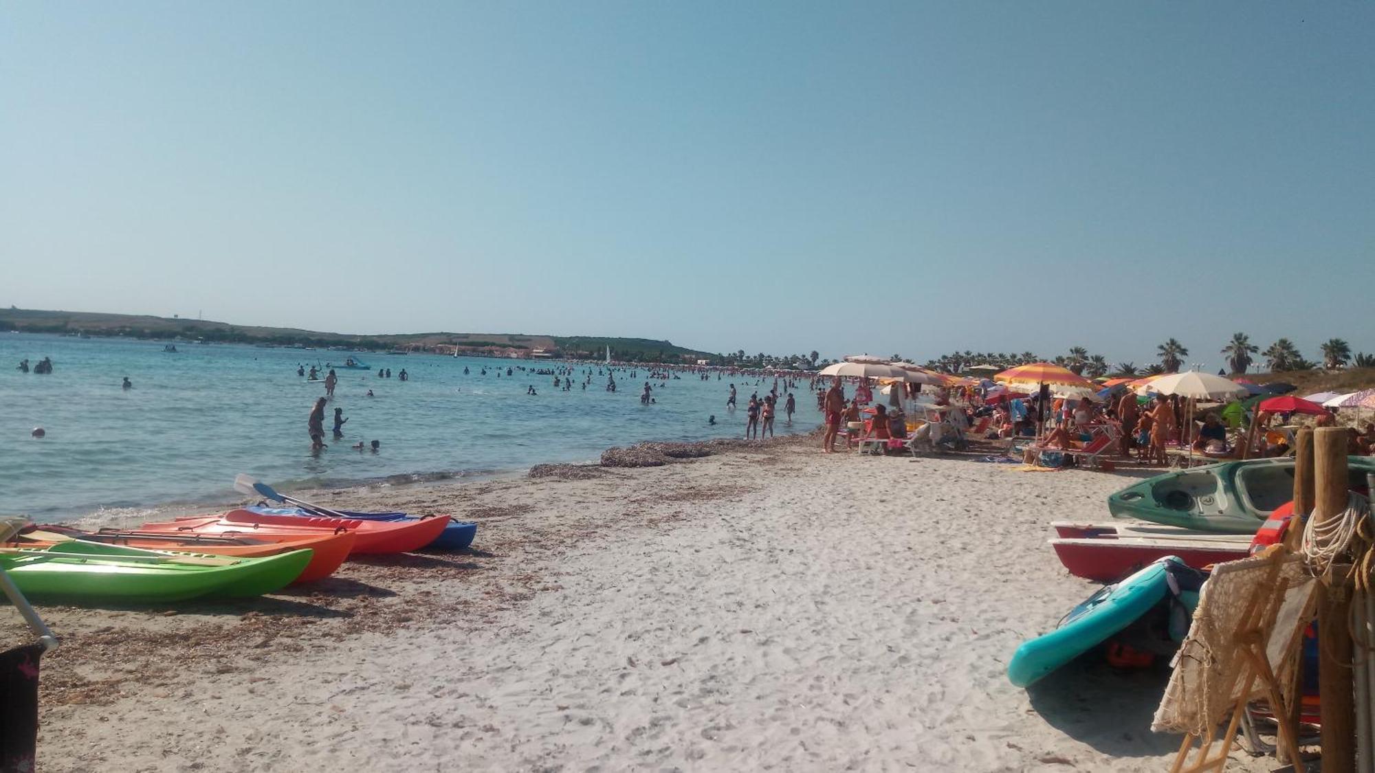 Bed and Breakfast Sardinia Eco Vegan House Zeddiani Esterno foto